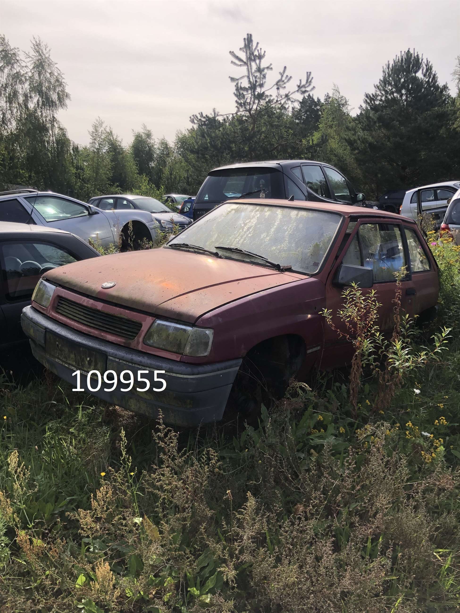 109955opel