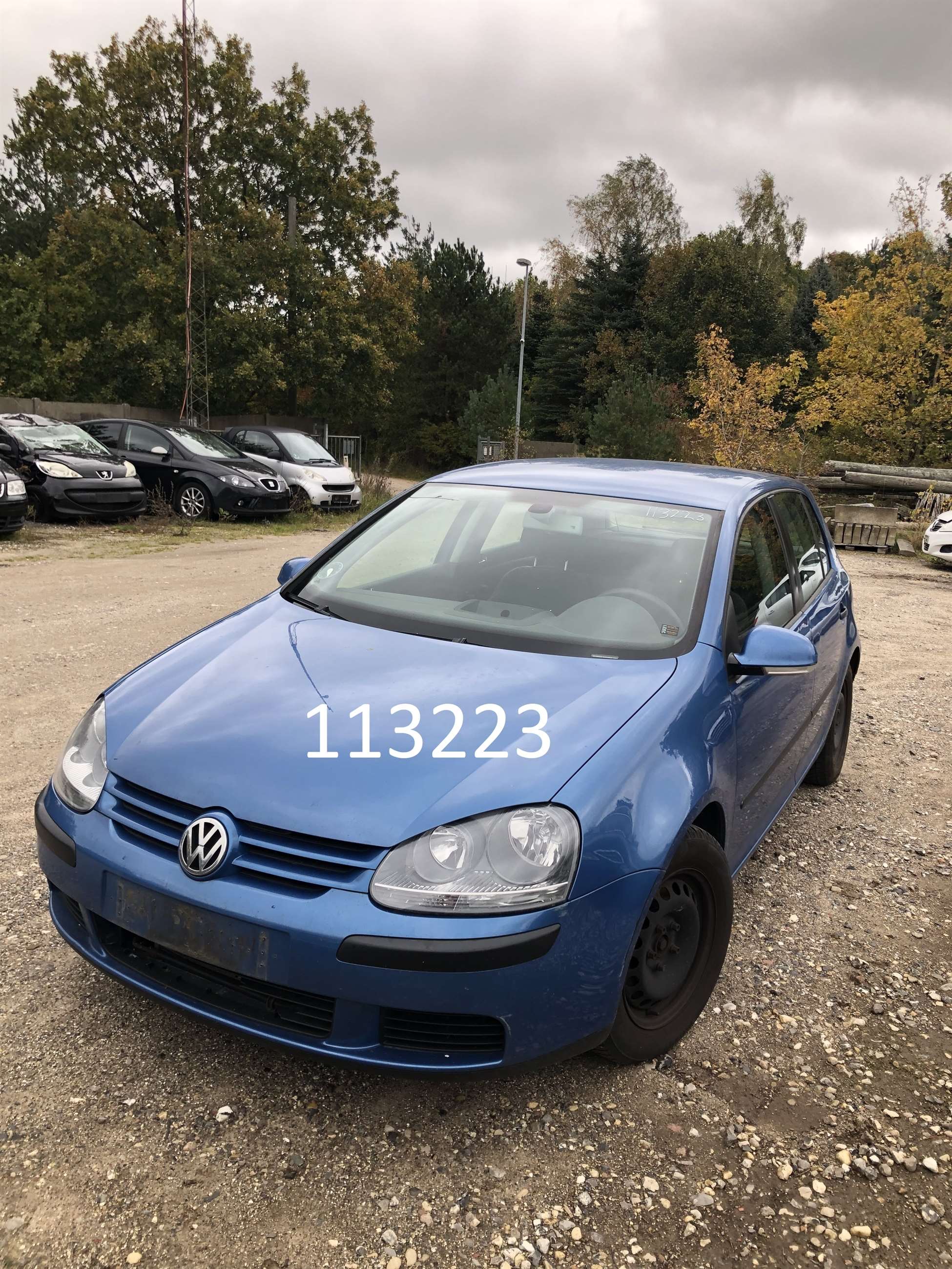 113223vw