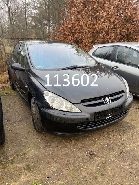 113602peugeot