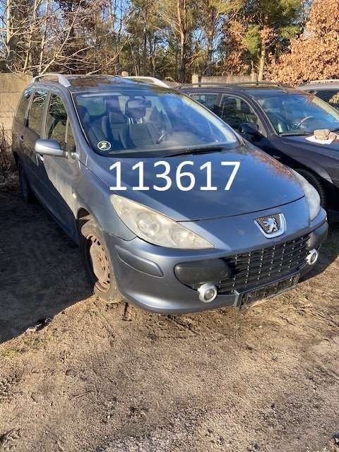 113617peugeot