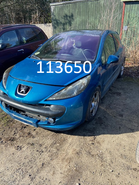 113650peugeot
