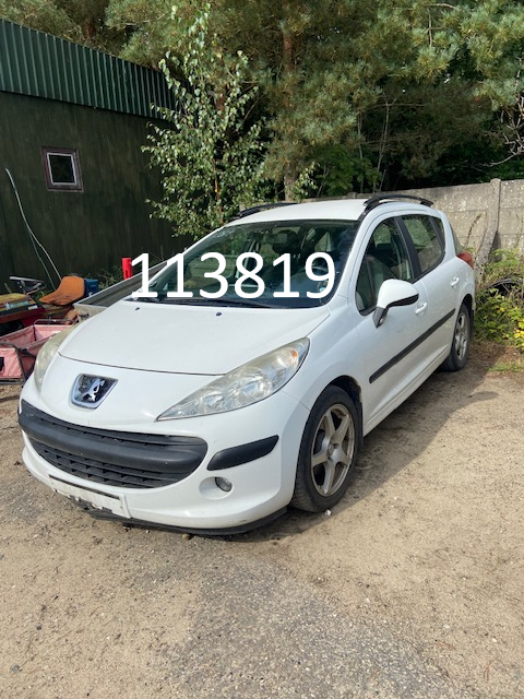 113819peugeot